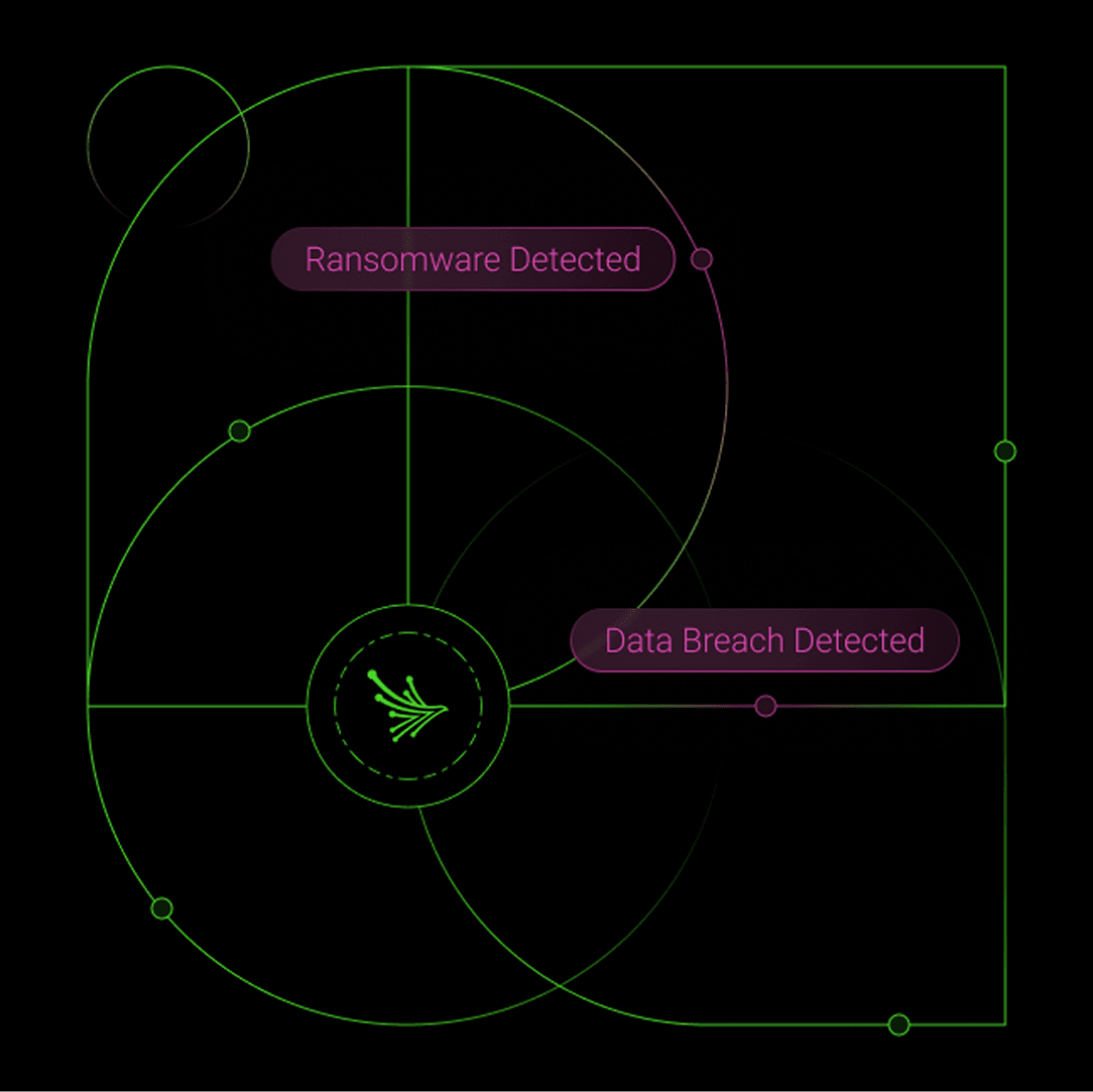 Supply Chain Vendor Map